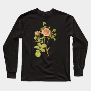 Tea Rose Flower Vintage Botanical Illustration Long Sleeve T-Shirt